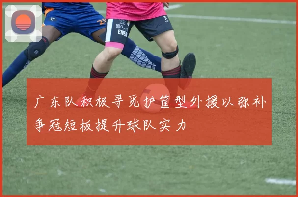 广东队积极寻觅护筐型外援以弥补争冠短板提升球队实力