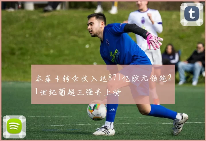 本菲卡转会收入达871亿欧元领跑21世纪葡超三强齐上榜